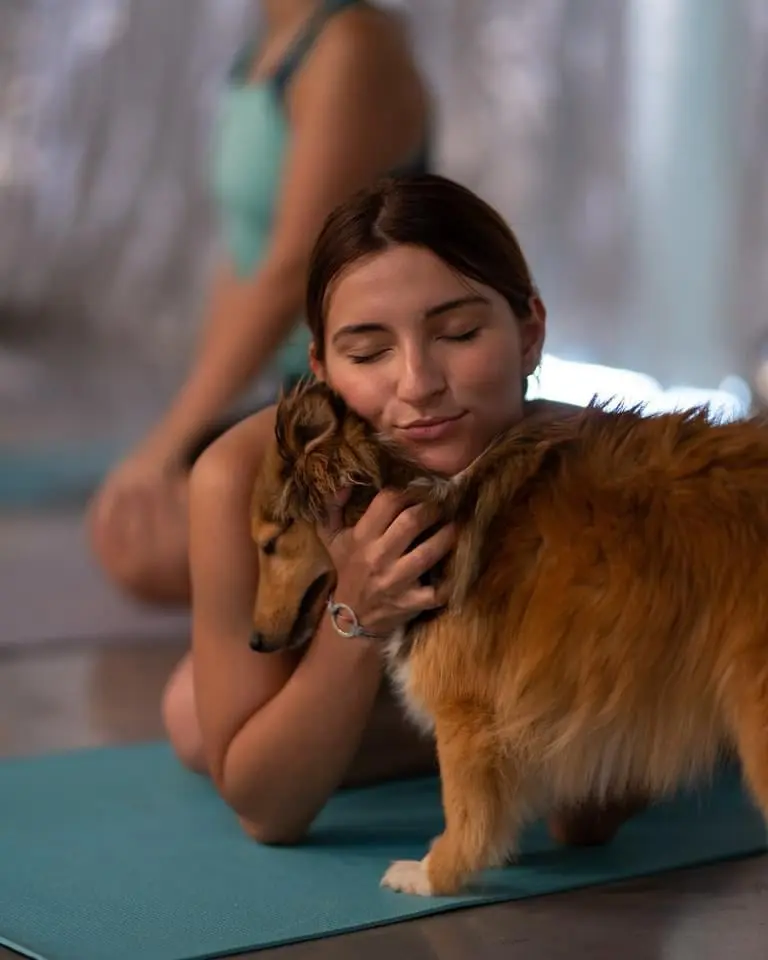Iulia practicing Pet Yoga with a cute sheltie at Yoga Fit in Timișoara